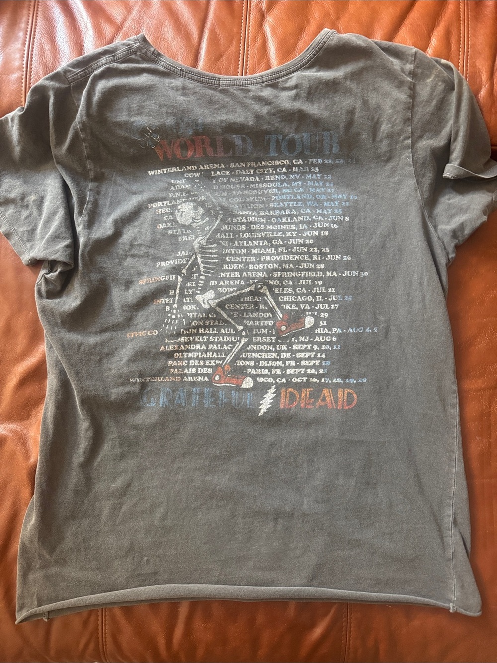 Junk Food Clothing Charcoal Grateful Dead 1974 Kids Tee with Red & Blue Logo - Picture 3 of 5
